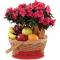 S56-4573 Le panier de fruits et plantes FTD® Encircling Grace